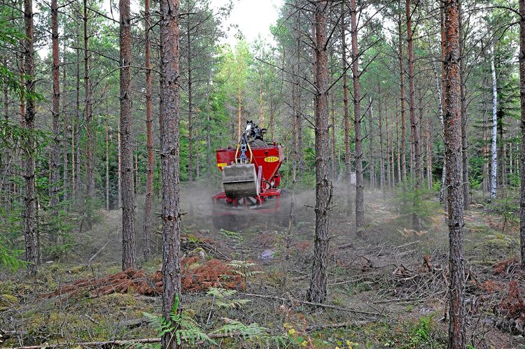 Med tallriksspridare läggs askblandningen ut i skogen.