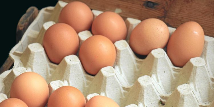 Mindre gift i ekoägg