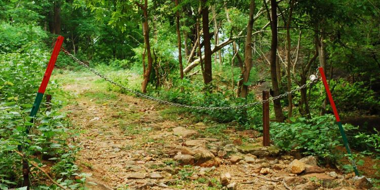 Aktivistdebatten: Oklart besked om olaga intrång