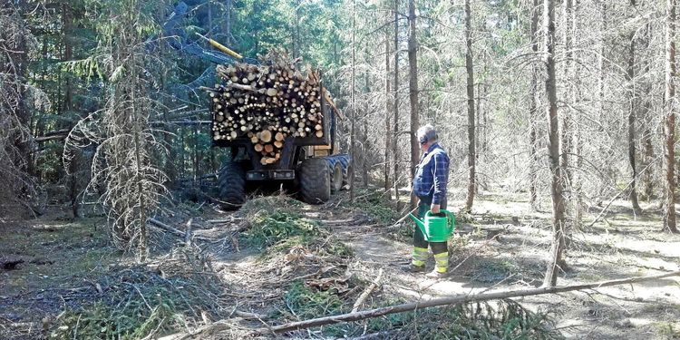 Södra stoppar avverkningar