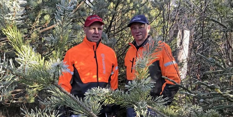 ”Ingen kunde tro att det skulle se ut så här nu”