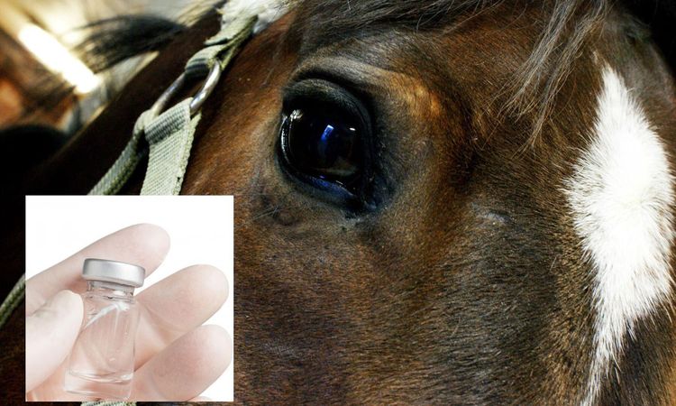 Kvarkavaccin på marknaden 2020