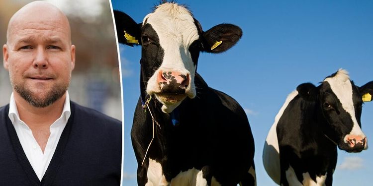 Skånsk grädde på glassexport till Kina