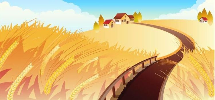 Nu är det dags för gårdsperspektivet