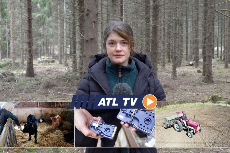 ATL TV: Smarta fällor vapen mot gnagarna
