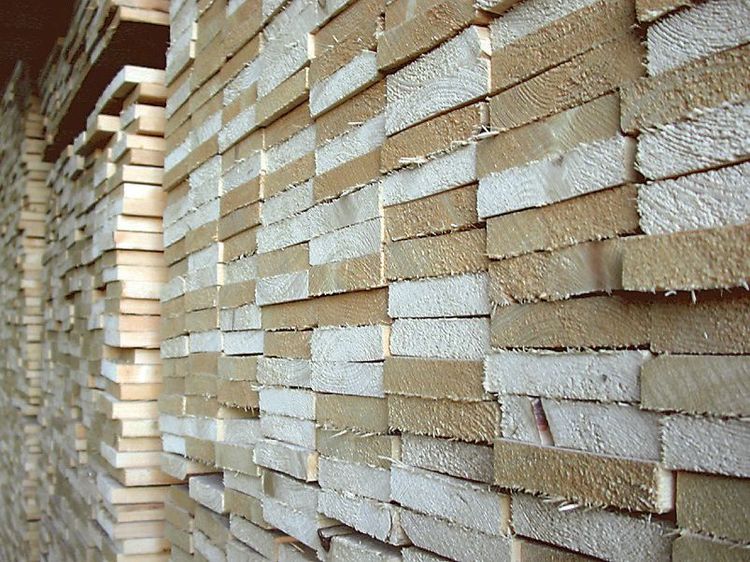 Förbättrat resultat för Norra Skogsägarna