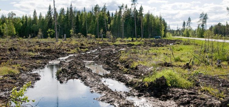 Så länge dröjer körskadestatistik