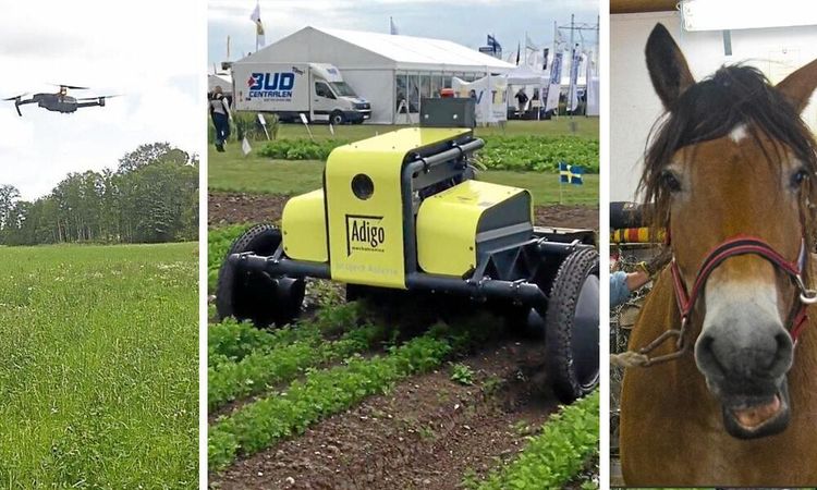 Här kopplas uppfinnare samman med investerare