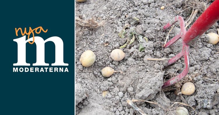 M: vi kräver svar, Bucht!