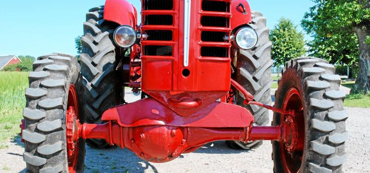 Unik Boxer drar på alla fyra