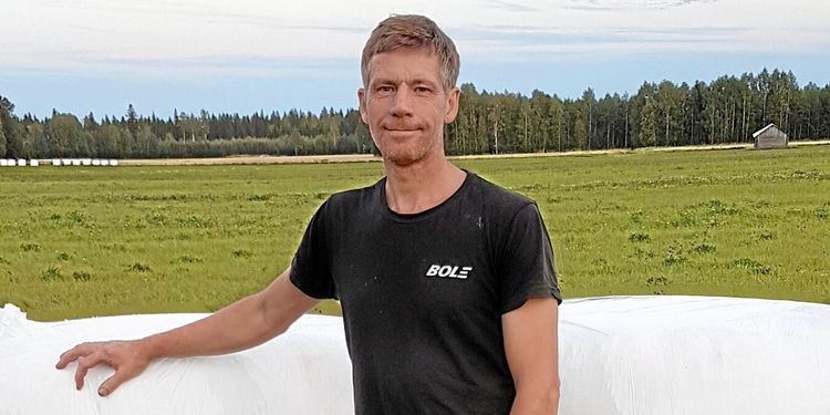 Bra andra skörd i Norrbotten