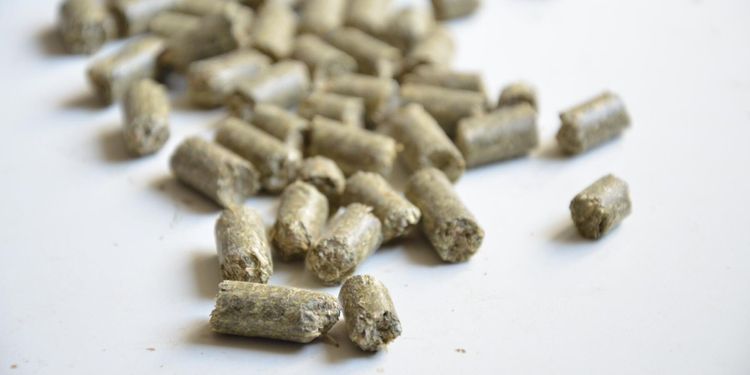 Krafft vill ha snabbare cannabisbesked