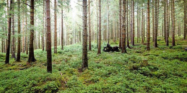 ”Vårt agerande är helt i linje med riksdagens beslut”