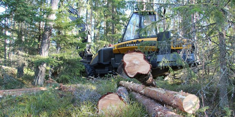 Nu ska hyggesfritt definieras