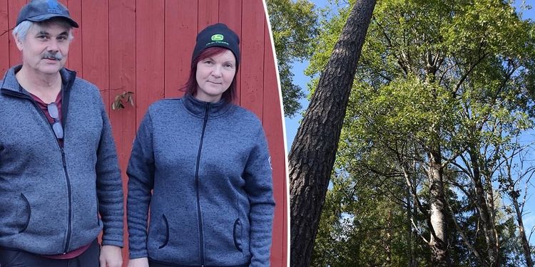 Skogsägare i kläm mellan myndigheter