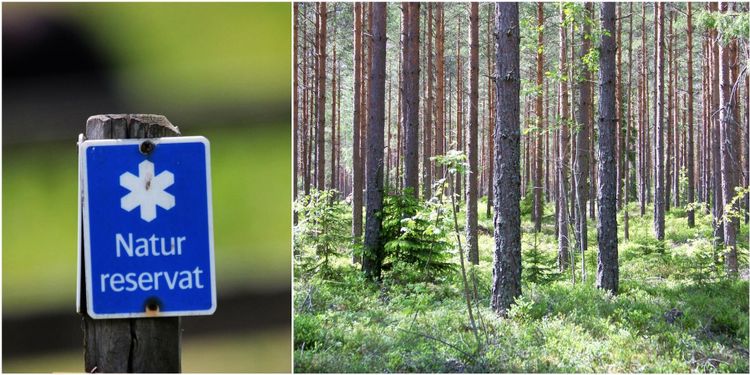 De vill folkomrösta mot naturreservat