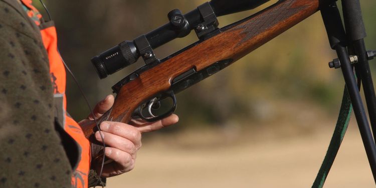 Jägare sköt grävling - visade sig vara en björn