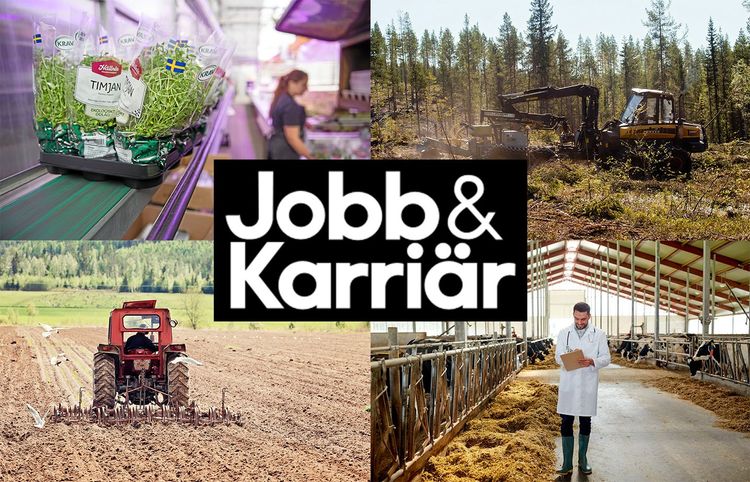 Premiär för jobb och karriär