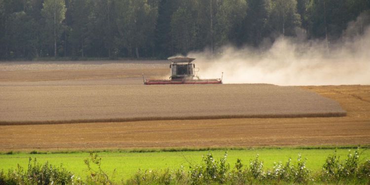 6 tips: Så klarar du att arbeta i hettan