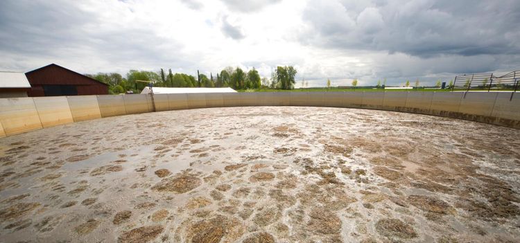 Fulla gödselbrunnar stort problem