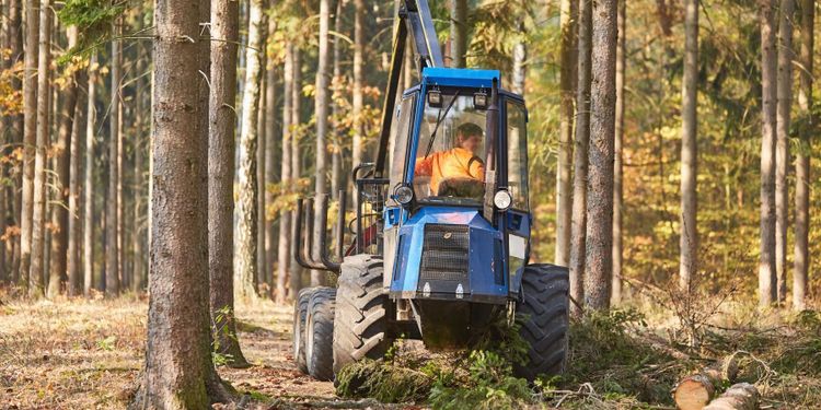 Stort behov av arbetskraft till lantbruket