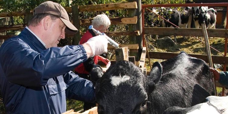 Kartläggning av läget i djurhälsovården är igång