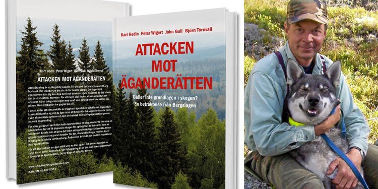 ”Äganderätten äter sig in i det privata skogsägandet”