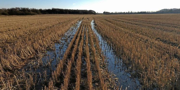 Lantbruket sårbart på flera punkter