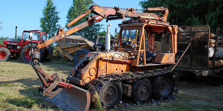 Björnen som knäckte hästen i skogen