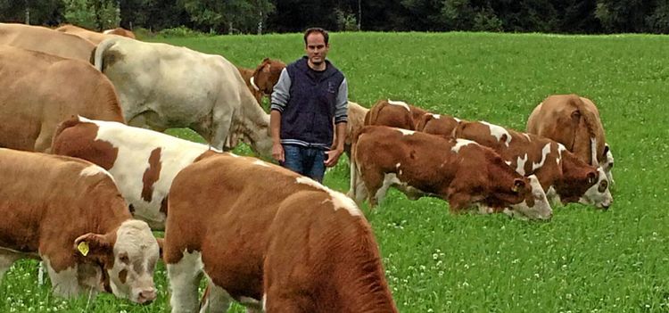 Nu är det slut på bunden stut