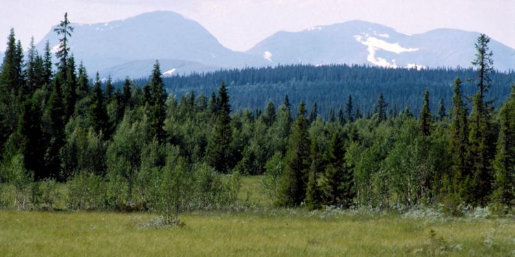 Naturvårdsverket planerar jätteavsättning
