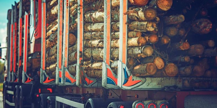 Sveaskogs satsning satte stopp för tjuvkörningar