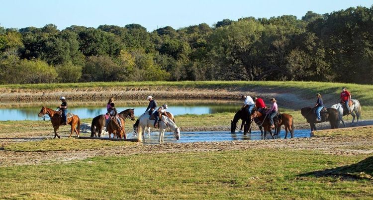 Känd tränare säljer ranch