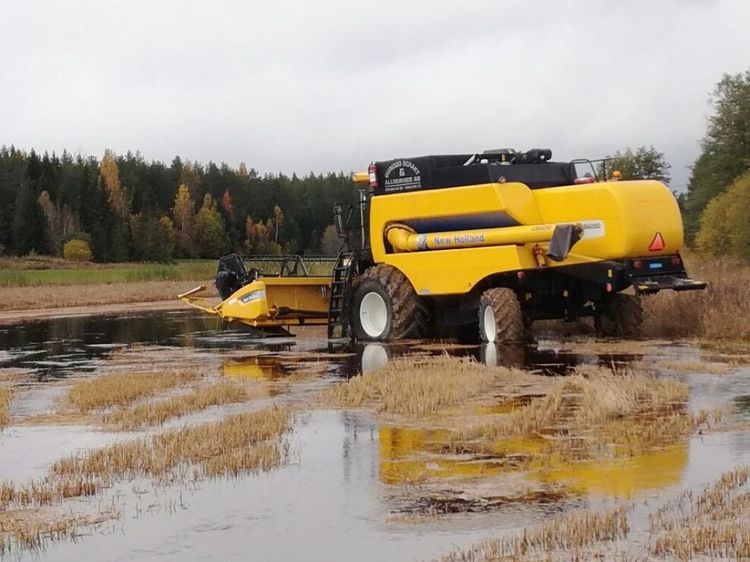 Väl vågad tröskparkering