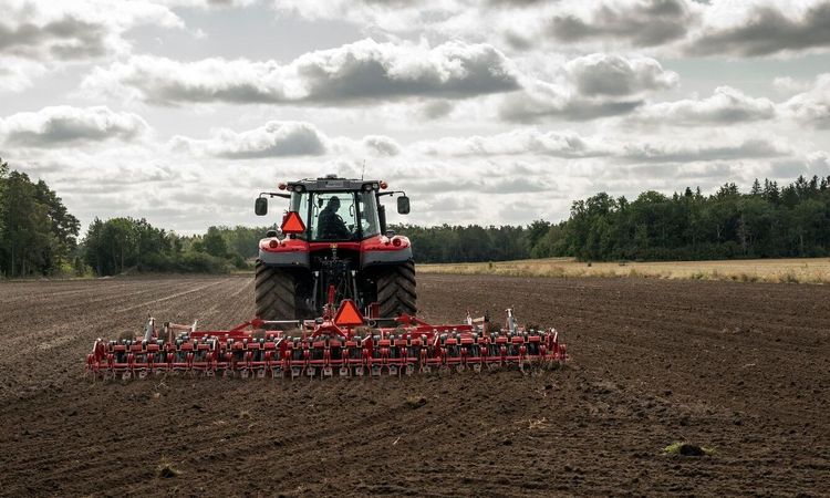 Två tredjedelar av spannmålen oskördad