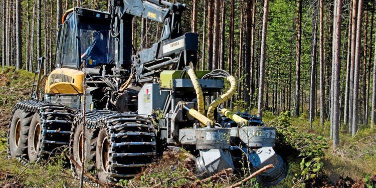 Brist på maskinförare skapar flaskhalsar i skogen