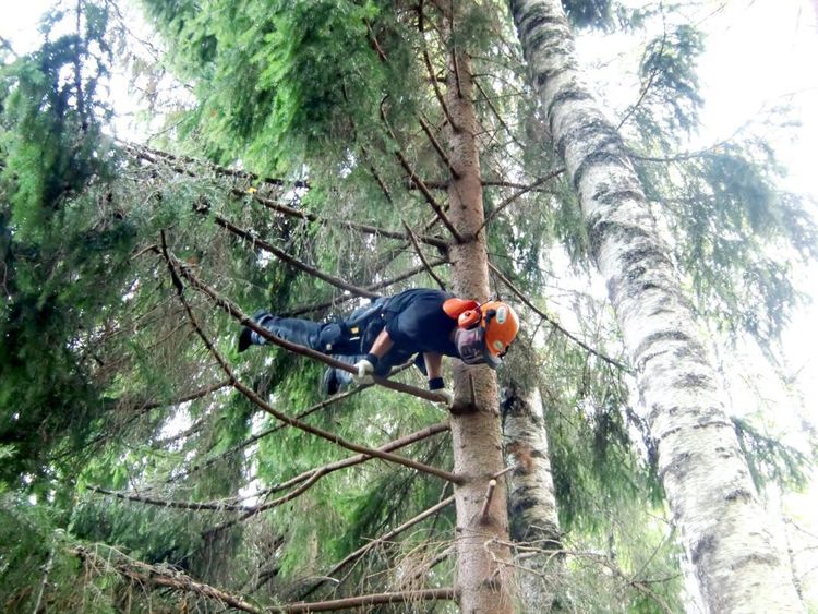 Varför gå på gym när man har skogen runt knuten?
