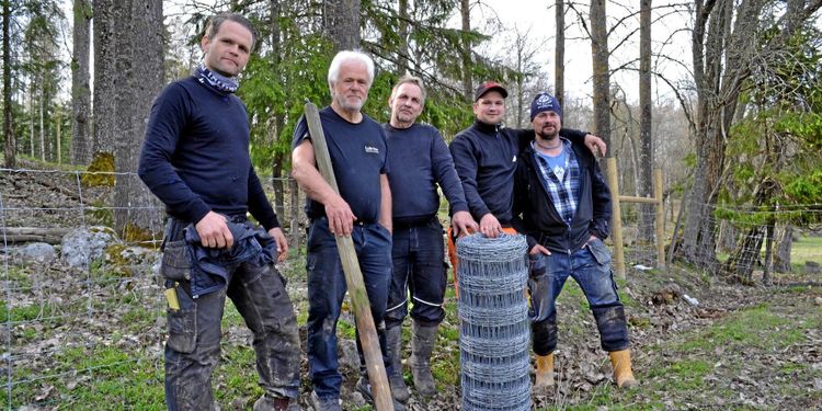 Molstabergs stängsel godkända