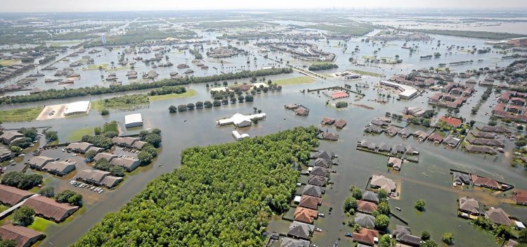 Fulbilar kan komma till Europa