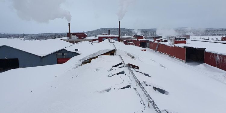Limtraäfabrik åter i drift efter takras