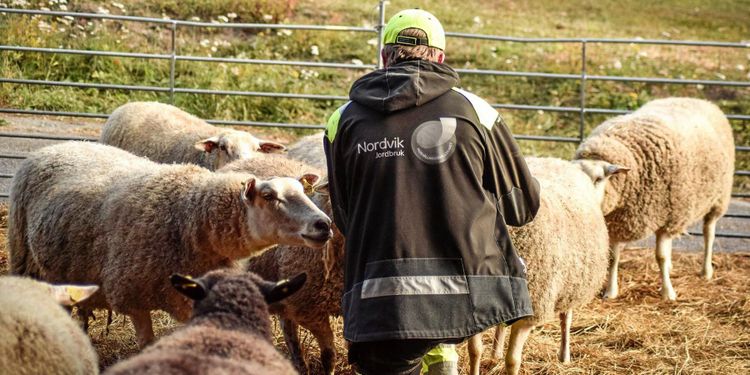 Styrketräning för hjärnan ska minska skolstress