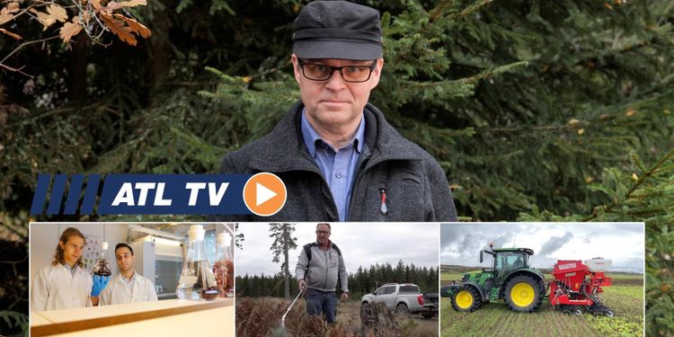 ATL TV: Han satsar stort på medel mot vilt