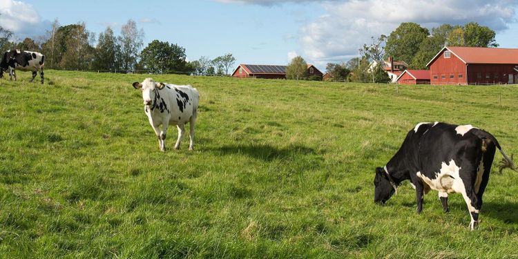 Gott om alternativa fakta om jordbruk