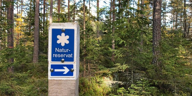 181 nya naturreservat 2019