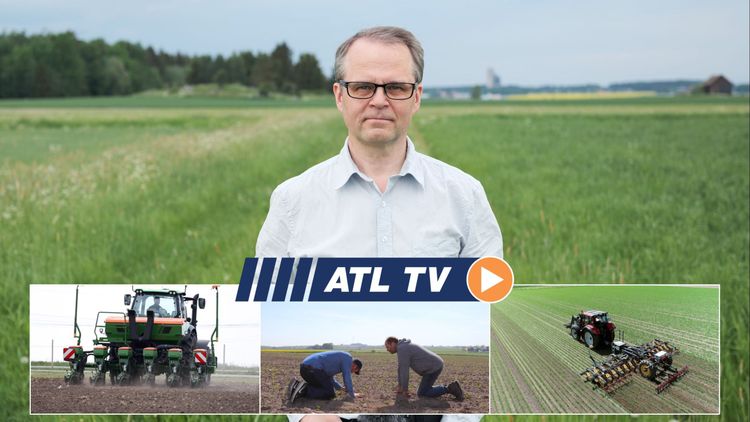 ATL TV: Rätt teknik med radhackning