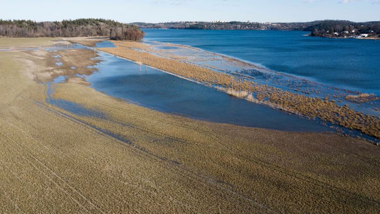 Så påverkar blöta våren ersättningar och stöd