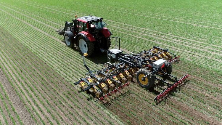 Många möjligheter med Cameleon