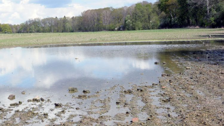 Efter stödbeskedet – fortsatt oro för sent vårbruk