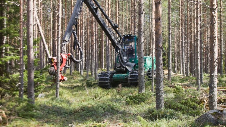Naturanpassat skogsbruk en vinst för samhället