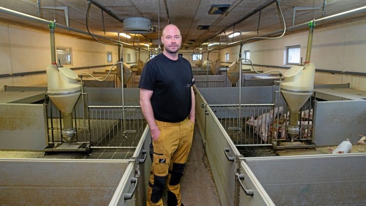 Ny ordförande för Grisföretagarna